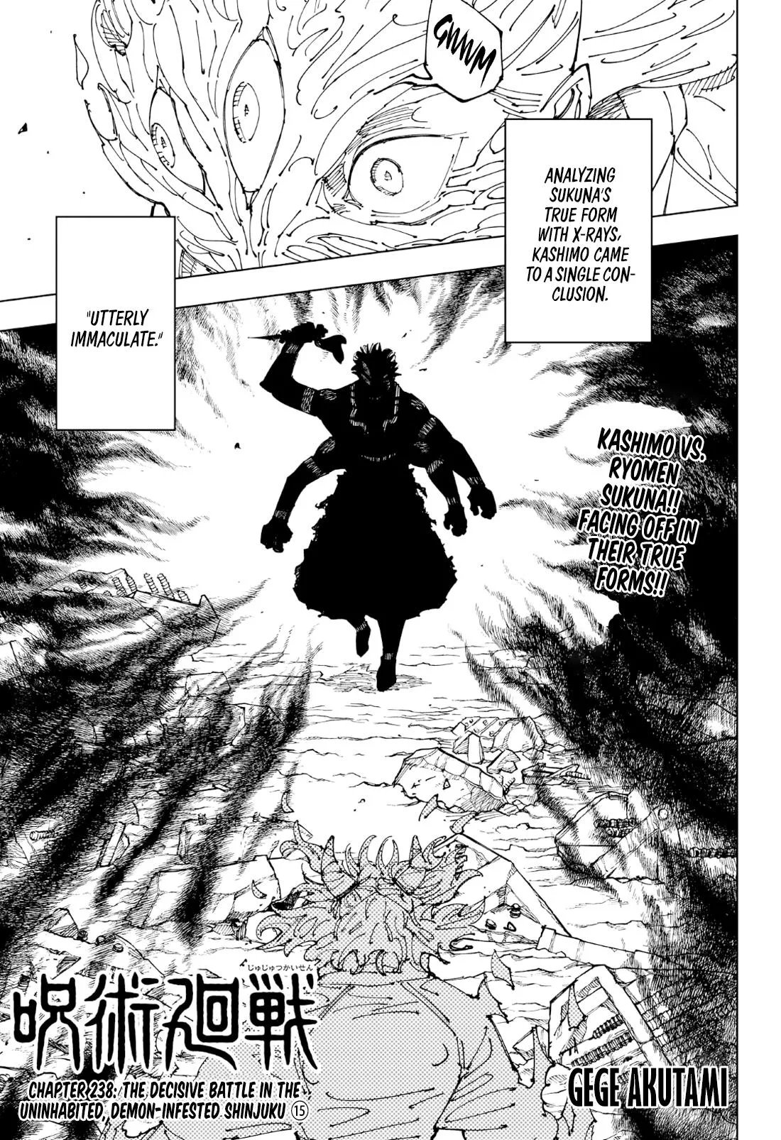 Jujutsu Kaisen, Chapter 238 1 1 224