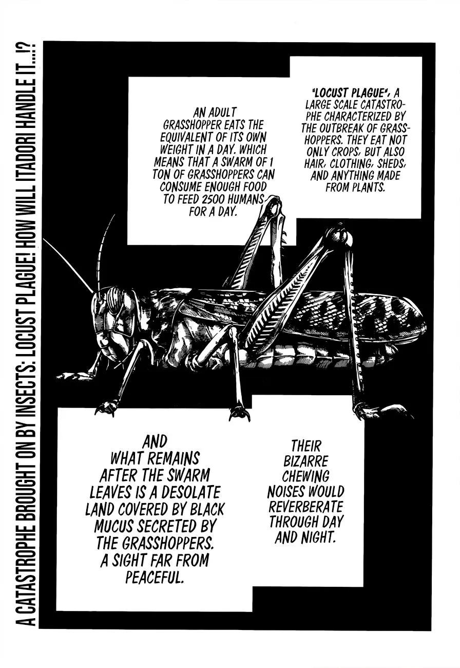 Jujutsu Kaisen, Chapter 87 1 1 79